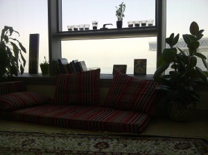 My Reading Spot. Every home needs one. A work in Progress.