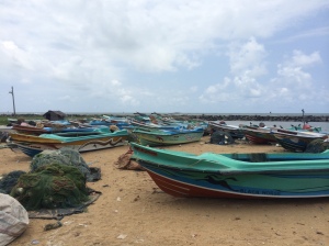 This feels artistic...no pain. Bait fishing boats, Sri Lanka