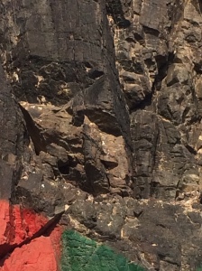 The Guardian of our campground in Fujairah. Do you see the face? 